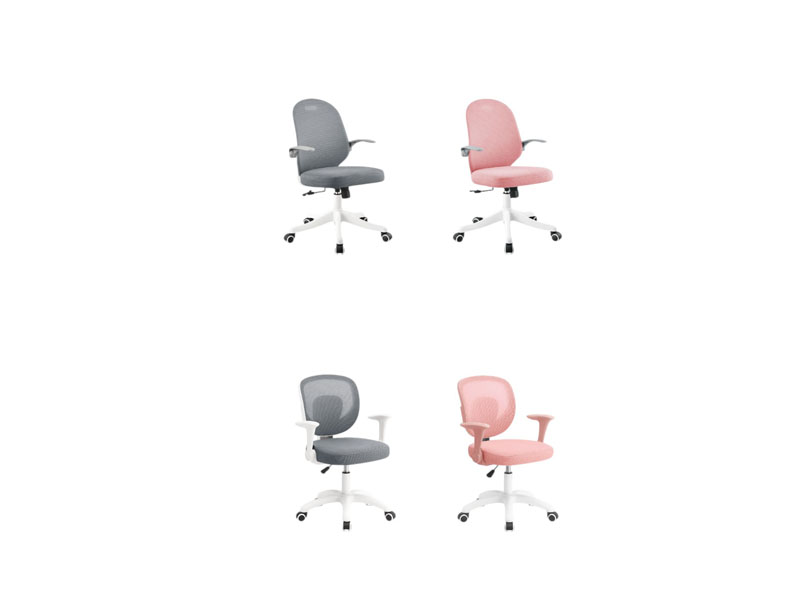 2025 克洛斯/查麗安網椅(布)2色